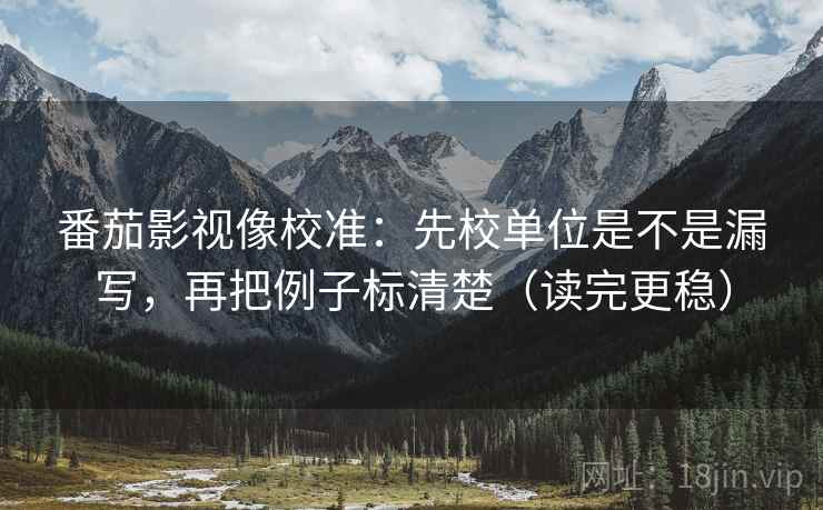 番茄影视像校准：先校单位是不是漏写，再把例子标清楚（读完更稳）
